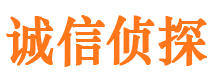 玉山捉小三公司